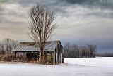 Barn In A Field_05958